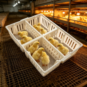 Jaula de Transporte de Pollo de Plástico de Grado Comercial con 4 Compartimentos y Ranuras de Ventilación para el Transporte de Alimentos para Aves de Corral - Product Image 1