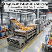 Déshydrateur automatique multi-couches continu à tunnel pour herbes, oignons, ail, légumes et gingembre, sécheur à bande maillée pour la transformation alimentaire
