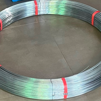 Fil de fer électrogalvanisé à chaud, diamètre 30 mm, pour construction, fil de ligature durable, coupe facile, pliage et découpe d'acier sans soudure