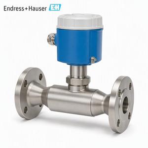 Débitmètre massique thermique 6F5B bidirectionnel à distance pour gaz SIL 2 DN15-100 Endress+Hauser - Product Image 4