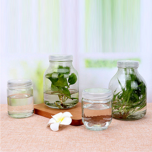 003 bán buôn rõ ràng mô văn hóa thực vật chai thủy tinh với vít <span class=keywords><strong>cap</strong></span> nắp nhựa - Product Image 3