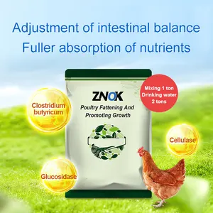 Booster pertumbuhan yang diproduksi sendiri untuk unggas dan ternak digunakan untuk aditif pakan unggas untuk ayam bebek burung
