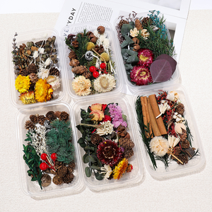 <span class=keywords><strong>Flores</strong></span> Secas al por Mayor y Materiales Vegetales Naturales, Suministros para Manualidades, Decoración Hecha a Mano - Product Image 4