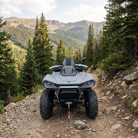 Quad 600cc essence/diesel automatique 4 temps certifié EEC EPA, kart 4x4 tout-terrain avec blocage de différentiel, idéal pour la ferme et le sport