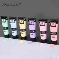Ensemble de peinture acrylique professionnelle Panwenbo, tubes souples non toxiques, 6 couleurs macaron, 30 ml, ensemble de peinture acrylique