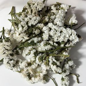 Petali di Limonium Sinuatum Essiccati 100% Naturali, 1000g, Conservati <span class=keywords><strong>in</strong></span> Glicerina, per Coriandoli Matrimoniali, Arte <span class=keywords><strong>in</strong></span> Resina, Decorazioni Boho per la Casa - Product Image 1