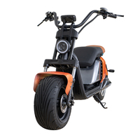 Scooters électriques auto-équilibrants Citycoco pour adulte CE EEC Fat Tire 2000w 3000w