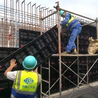 Système de coffrage en plastique pour piliers en béton chinois, panneaux de coffrage en béton à vendre