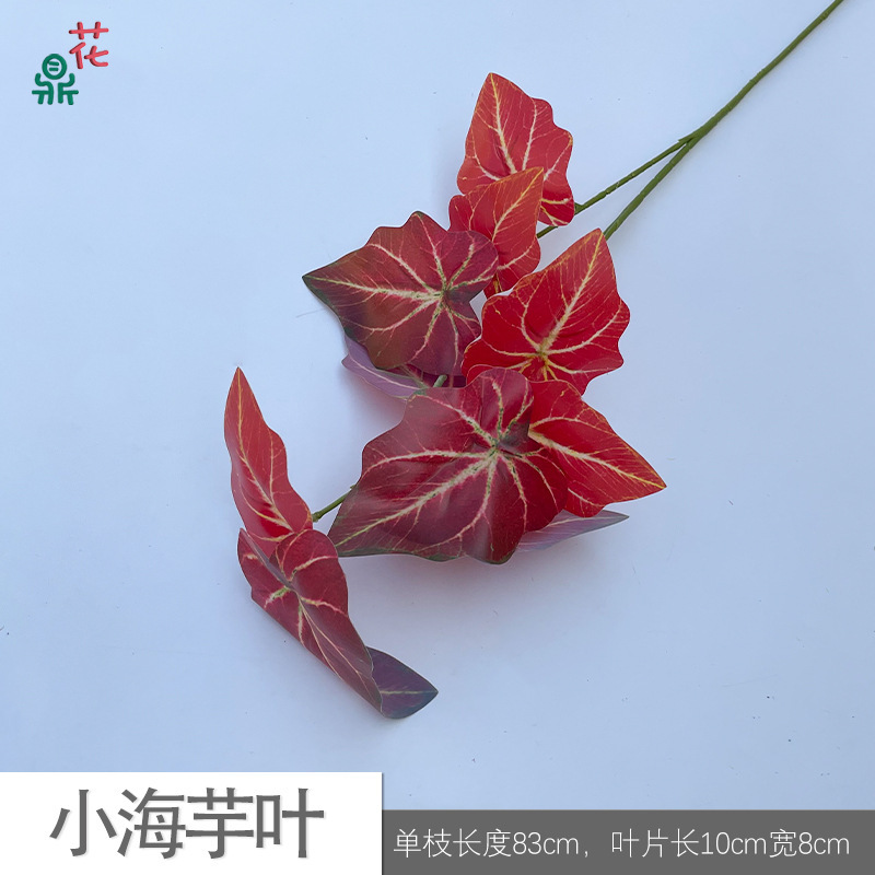 Petites feuilles de lys calla SQD rouge
