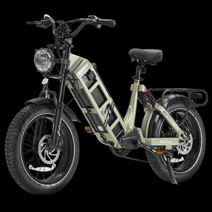 direct factory Eahora Juliet 20 Inch Fat Tire <b>Electric</b> City Bike Rear <b>Hub</b> Motor 7 Speed Steel Frame Cargo E Bike for Adults - Product Image 1