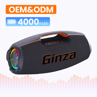 Haut-parleur sans fil RGB haute puissance pour extérieur, étanche IPX4, 130W, portable pour ordinateur, fêtes sur la plage et rassemblements en camping