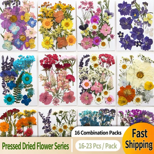 Fleurs séchées pressées en vrac, kit de spécimens botaniques pour la résine, scrapbooking, décoration DIY, couleurs assorties, 16-23 pièces - Product Image 1