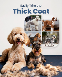 Tondeuse Électrique Métallique Neuve en Gros pour Animaux de Compagnie, Tondeuse Professionnelle Silencieuse pour Chiens et Chats - Product Image 5