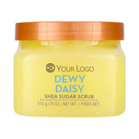 VC beurre de karité sucre gommage marque privée naturel exfoliant hydratant bain nettoyant arc-en-ciel Sherbert corps gommage
