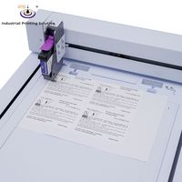 Sistema de Impresión de Inyección de Tinta Térmica de Precisión IPS-8MP con Control por PC para Componentes de Embalaje Plano