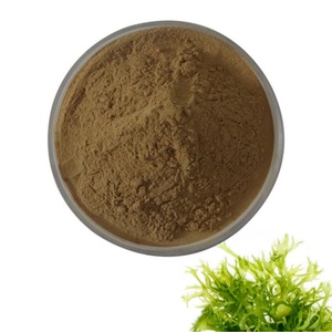 Extracto de Algas Marinas de Alta Calidad, Suministro de Fábrica - Product Image 1
