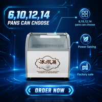 Réfrigérateur de présentation de crème glacée en acier inoxydable, mini, de luxe, à poser sur comptoir, 2 portes, température unique