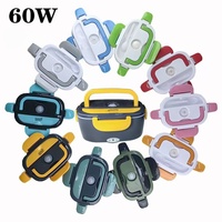 Portable 110V/12V 60W/80W avec couvercle en acier inoxydable conteneur boîte à lunch électrique pour voiture et usage domestique