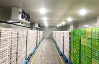 Compresor Scroll R404A Todo en Uno -40~25, Bomba de Refrigeración Ecológica, Dimensiones Personalizables, Multivoltaje