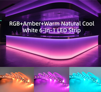 Bande LED 6-en-1 RGB+Amber+Blanc Naturel Chaud/Froid CCT Confortable DC24V 15mm 60LED/m pour Intérieur & Extérieur, Bar, Scène