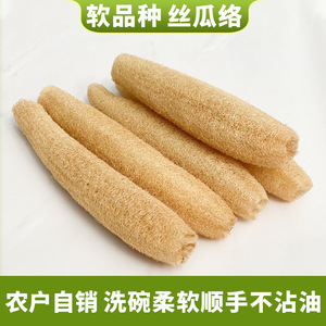 ฟองน้ำใยบวบธรรมชาติรูปสี่เหลี่ยมผืนผ้าสำหรับล้างจานและขัดหม้อ - Product Image 2