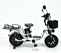 Vélo Électrique à Assistance Électrique avec Panier Avant et Porte-Bagages Arrière, Moteur Brushless 800W, Batterie Lithium 48V, Pneu Neige 16 Pouces pour Adulte