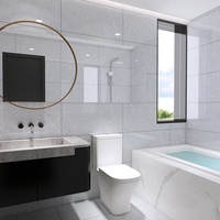 Carrelage de salle de bain en céramique moderne, 1 pièce, 40x80, carrelage mural en céramique émaillée gris, 400x800mm, de haute qualité, prix shan