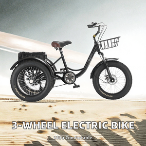 <span class=keywords><strong>Vélo</strong></span> électrique cargo à trois roues à vitesse unique de <span class=keywords><strong>20</strong></span> <span class=keywords><strong>pouces</strong></span> avec cadre en aluminium pliable entièrement antichoc Capacité de charge de 150 kg Tricycle - Product Image 2
