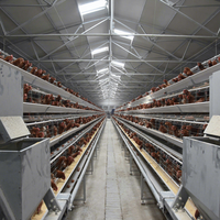 Cages à poulets pondeuses personnalisées de type A, prix usine, pour ferme au Pakistan