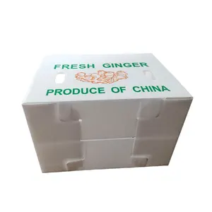 Fruit Vegetable Packing PP Cartonplast Grapes Packing Boxes Plastic Broccoli Boxes Corrugated Ginger Sheet