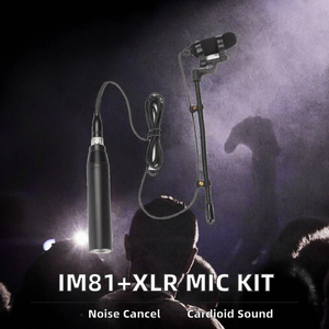 Microphone à condensateur IM81 avec alimentation fantôme 48V, connecteur XLR filaire pour saxophone, violon, guitare - Réduction du bruit, design léger - Product Image 2