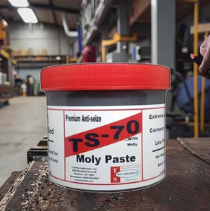 Sellador Adhesivo TSMOLY TS-73 Torque-tight A/G ISO VG 15 - Product Image 3