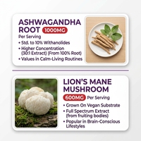 Gummies Crinière de Lion Marque Blanche OEM pour le Complexe Mémoire 10, Soutien à la Concentration, Amélioration de l'Humeur, Boost d'Énergie, Sans Sucre, Supplément Végétalien