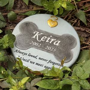 Targa Commemorativa per Animali Domestici a Forma di Osso Personalizzata, Ricordo in Resina Azzurra con Design Osseo Nero, Regalo Artigianale di Condoglianze per Amanti degli Animali - Product Image 3