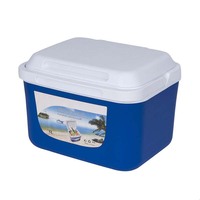 LIHENG Coffrets isothermes carrés personnalisés 5/13/27/45L, lot de 4, pour pique-niques, pêche et barbecue