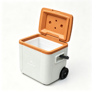 Nevera portátil, refrigerador para automóvil, caja de hielo para almacenamiento en frío y conservación, maleta con ruedas portátil para camping al aire libre - Product Image 4
