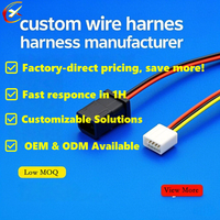 Kabel Jumper Dupont Pitch 2.54mm OEM/ODM 1-10 Pin Flat Ribbon Wire Harness untuk Peralatan Rumah Tangga Elektronik Otomotif