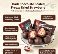OEM & Lage MOQ Gedroogde Aardbeien Chocoladechips, Fruitchips met Donkere Chocolade Coating