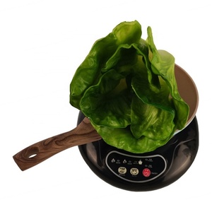 Cocina de Inducción para Café, de un Solo Quemador, 800W, 220V, MINI, Precio de Fábrica - Product Image 2