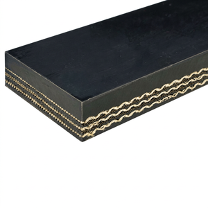 BANDE TRANSPORTEURE - Product Image 1