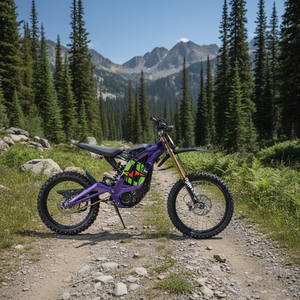 <span class=keywords><strong>Moto</strong></span> électrique Surron 60v 8000w Light Bee X Tout-terrain <span class=keywords><strong>Moto</strong></span> électrique - Product Image 2