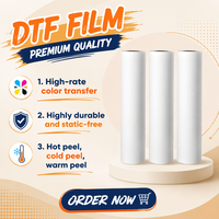 Film PET DTF transparent imprimable sur mesure pour transfert à chaud et à froid pour sérigraphie sur vêtements