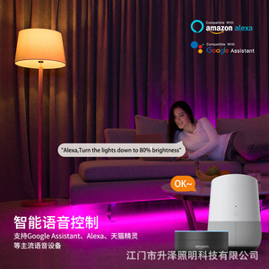 Ampoule LED intelligente <span class=keywords><strong>WiFi</strong></span> <span class=keywords><strong>E27</strong></span> à commande vocale Alexa variable et à couleurs changeantes pour lampe à réflecteur en plastique compatible Bluetooth Base B22 - Product Image 3