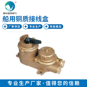 CZKLS2-2 <b>Marine</b> Indicator Light Switch Electrical Connector Copper Junction Box with Indicator Light <b>Marine</b> <b>Hardware</b> - Product Image 3