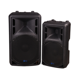 SPE popular product nature sound plastic cabinet with amplifier panel 12 inch active sound speaker good for corporate events