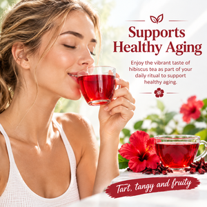 OEM ODM Tisane d'Hibiscus 100% Naturelle Sans Caféine Sachets Bien-être Quotidien 100 Sachets par Paquet - Product Image 4