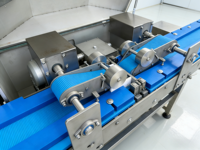 Microtome alimentaire ultra-fin de haute précision, contrôlé par PLC, pour la découpe automatique de viande, fromage et fruits de mer, trancheuse alimentaire ultra-fine entièrement automatique