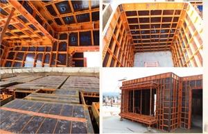 Lianggong H20 phong cách thiết kế hiện đại nhựa ván khuôn Nhà Máy Giá 63 Châu Âu Hình thức bảng điều chỉnh khung thép tường/slab cột xây dựng - Product Image 2