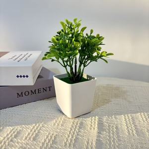 Cây nhân tạo cây xanh trong nhà ngoài trời nhựa trang trí chậu cây tự nhiên cảm ứng thực 20cm cây - Product Image 4