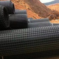 Geogrid Factory Nouveaux matériaux PP Géogrille biaxiale 30kN 40kN pour chaussées en ciment armé, travaux de terrassement et construction routière
